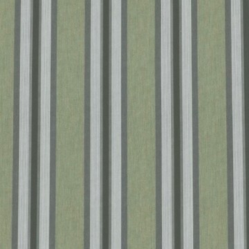Тканина для тентів Dickson Orchestra d244